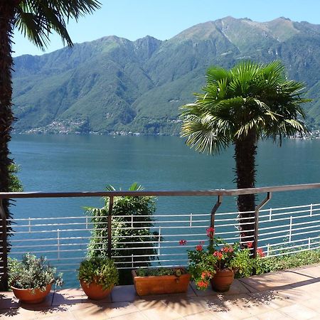 Casa Roccia Lägenhet Pino Lago Maggiore Exteriör bild